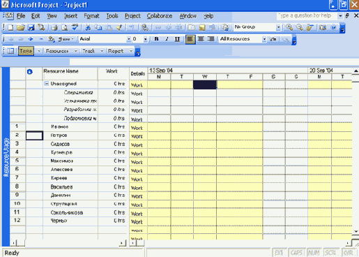  Resource Usage ( )