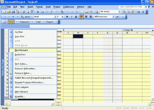      Resource Usage ( )