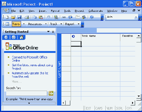 Project   