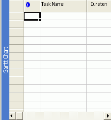   Microsoft Project
