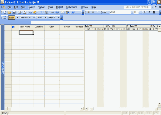     Gantt Chart ( )