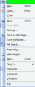  File ()