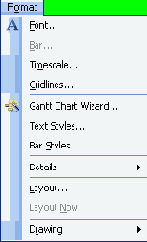  Format ()